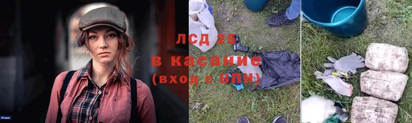 СК Гусев
