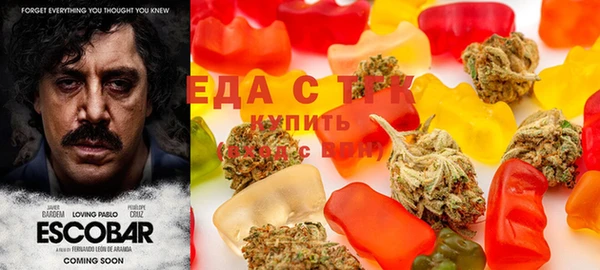 СК Гусев