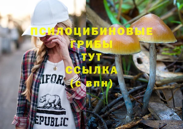 СК Гусев