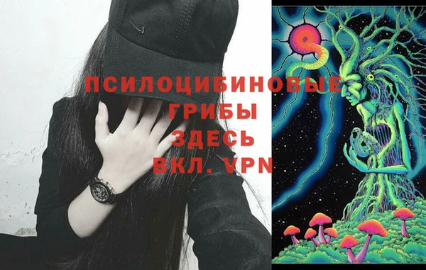 молекула духа Гусь-Хрустальный